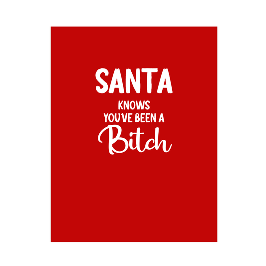 Santa Knows You've Been A Bitch Christmas Card